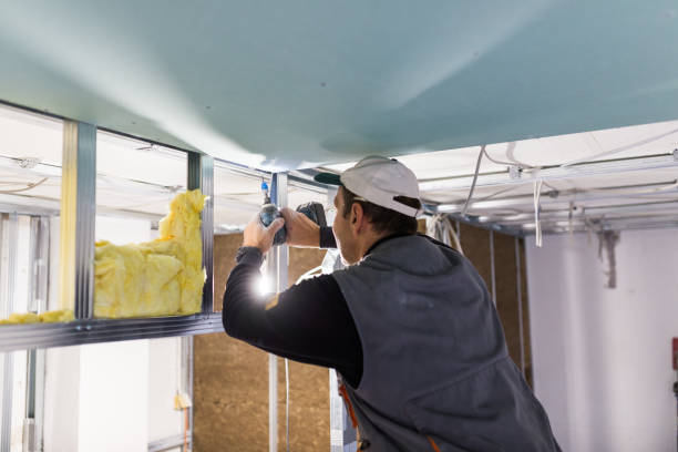 Types of Insulation We Offer in Ogden, IA