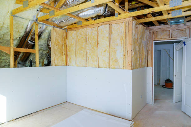 Best Insulation Maintenance and Repair in Ogden, IA
