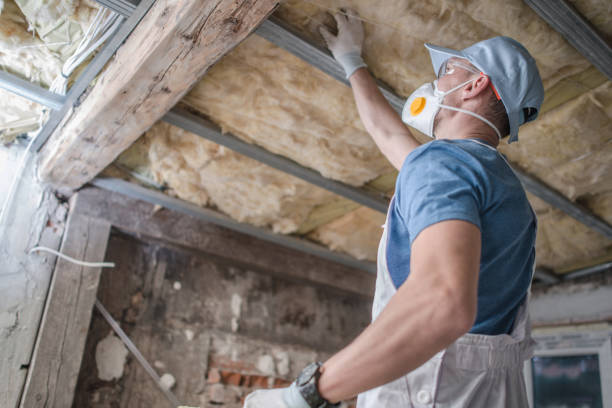 Best Insulation for Specific Applications in Ogden, IA