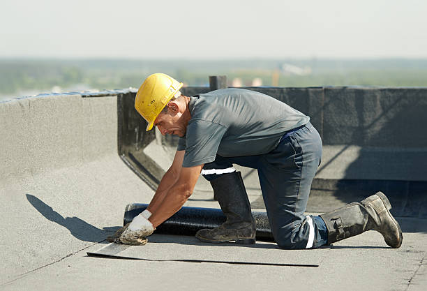 Best Specialized Insulation Services in Ogden, IA