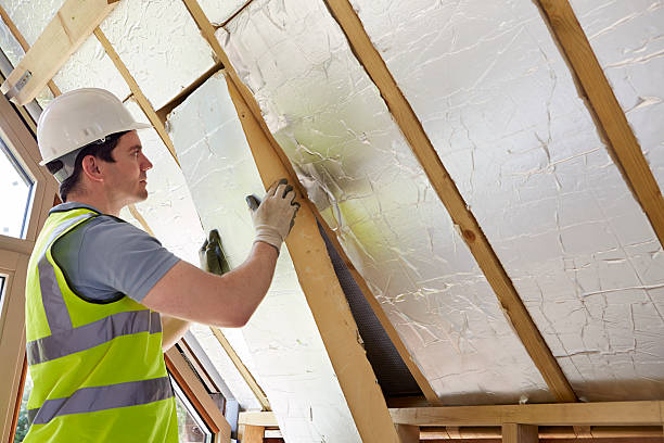 Best Residential Insulation in Ogden, IA
